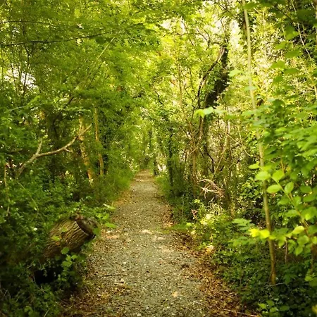 5* Self Catering * Nenagh