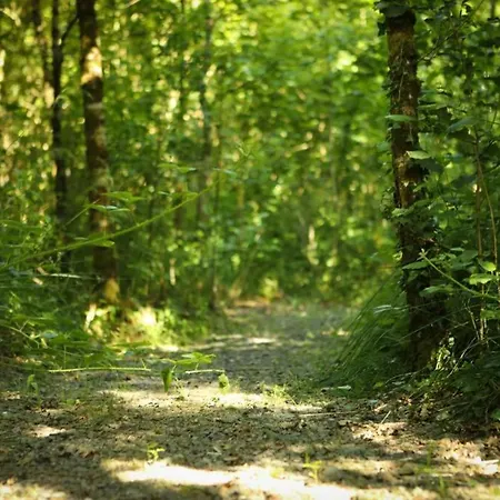 بيت للعطل 5* Self Catering نيناغ