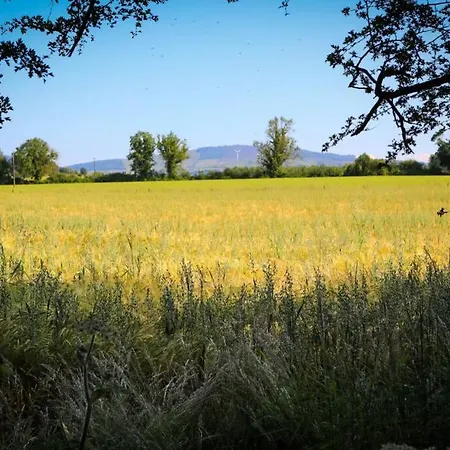 بيت للعطل 5* Self Catering نيناغ