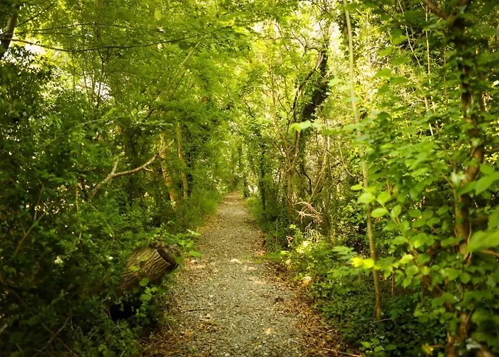 5* Self Catering * Nenagh