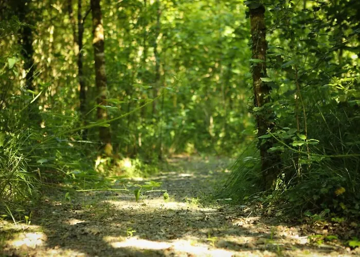 Hébergement de vacances 5* Self Catering Nenagh